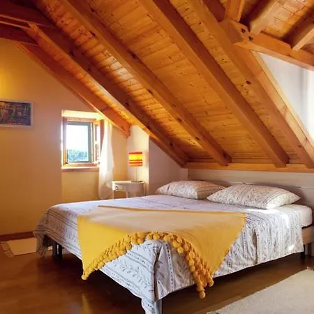 Hotel Vicina 4*