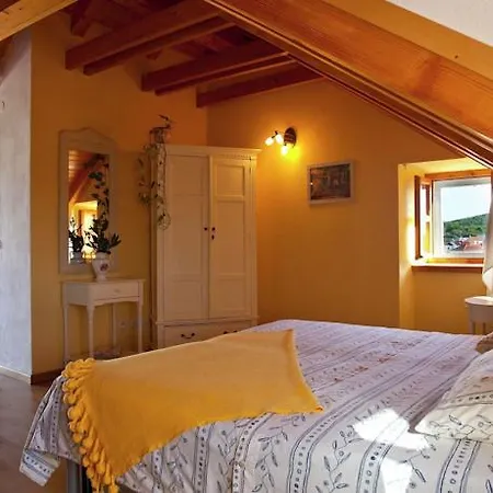 Vicina 4*